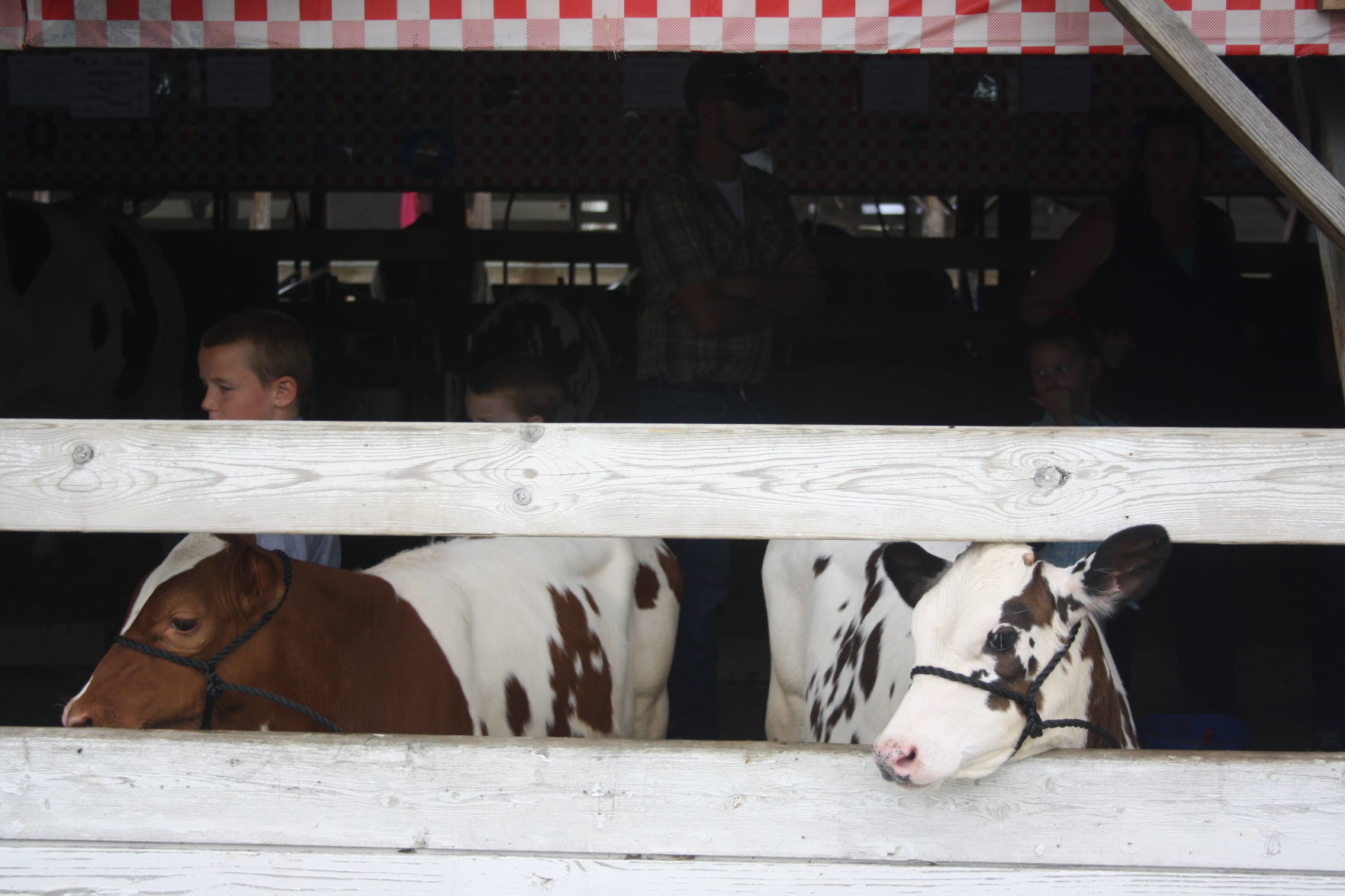 Sunday at the Dodge County Fair